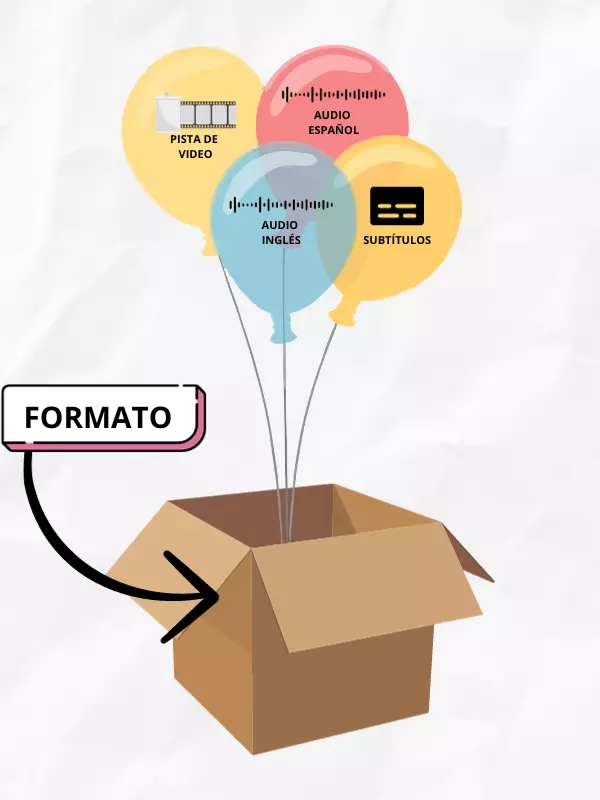 esquema que es formato de video